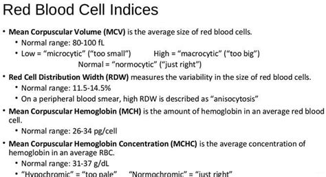 MCHC Blood Test: Interpretation of High and Low Values.